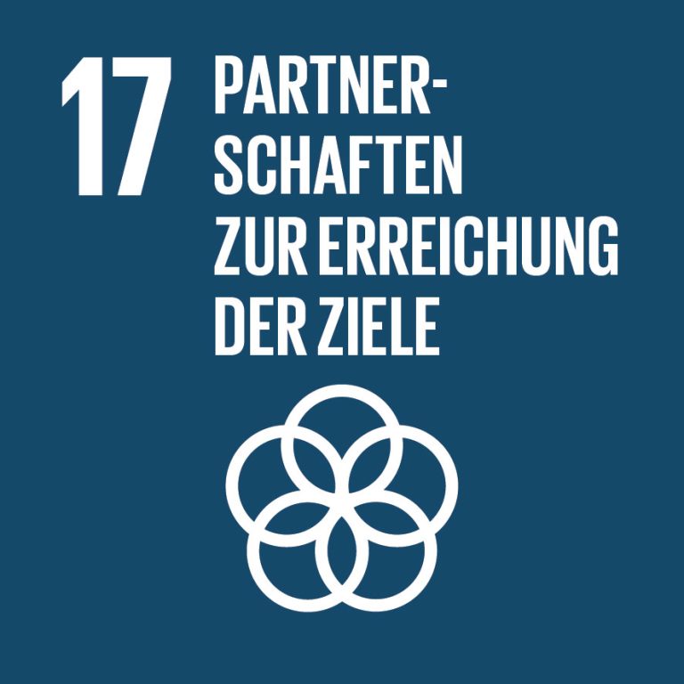 SDG 17 Partnerschaften zum Erreichen der Ziele