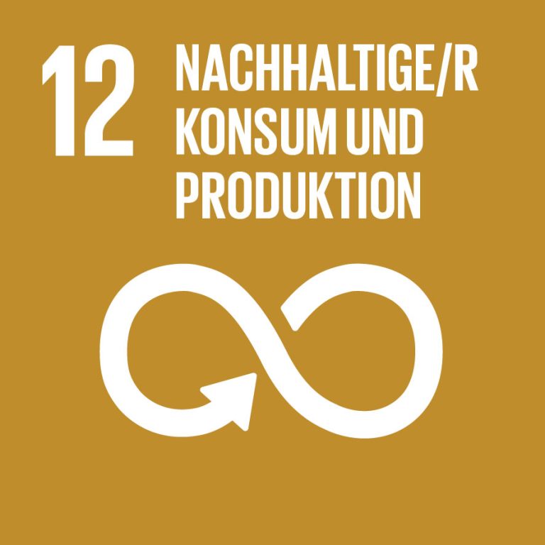 SDG 12 Nachhaltiger Konsum und Produktion